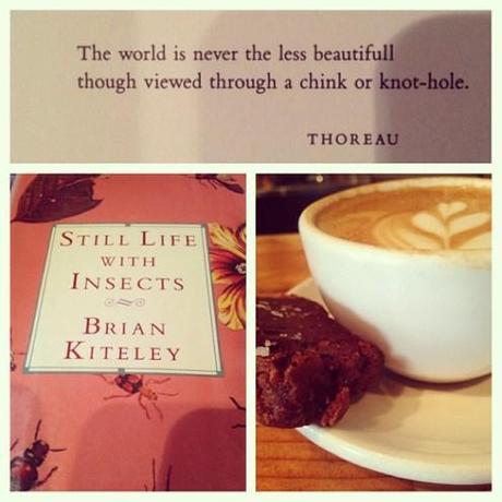 A Tidbit from Miss Golightly Brian Kiteley