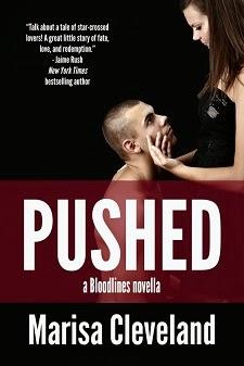 Pushed by Marisa Cleveland: Book Blitz and Excerpt