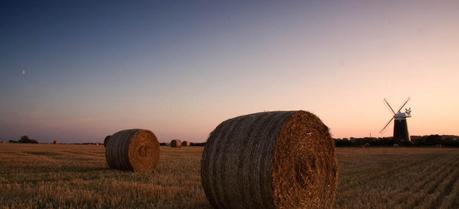 Electricity can be generated using straw bales and straw pellets, a solid biofuel that could be used in the near future