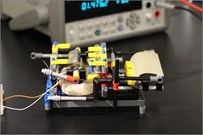 In this device, the humidity-driven flexing of a spore-covered piece of latex rubber (right) drives the movement of a magnet, which produces electricity. A device built on similar principles could function as a humidity-driven electrical generator