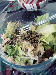 Big salad for lunch on Tuesday. One head of romaine lettuce, with some cauliflower soup/sauce as the dressing, garbanzo beans, more sauerkraut and spicy sunflower seeds. 