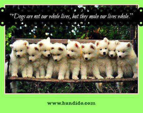 #WonderfulWednesday: Wise Words #WonderfulWednesday: Wise Words