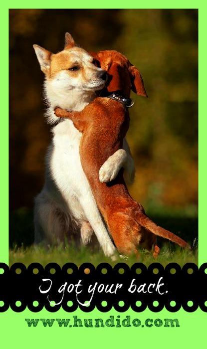 #WonderfulWednesday: Wise Words #WonderfulWednesday: Wise Words