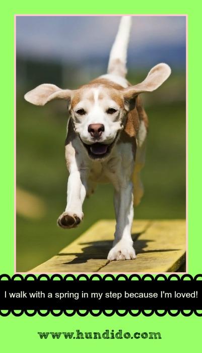 #WonderfulWednesday: Wise Words #WonderfulWednesday: Wise Words