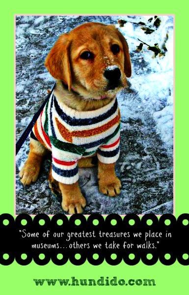 #WonderfulWednesday: Wise Words #WonderfulWednesday: Wise Words