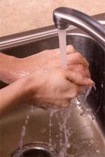 The Gloves Are On? Should Chefs Wear Disposable Gloves? Hand washing