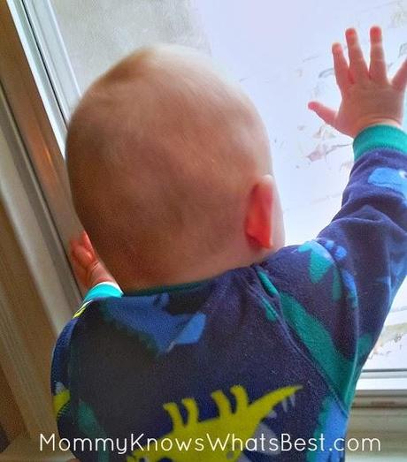 Wordless Wednesday-- I Just Want to Go Outside