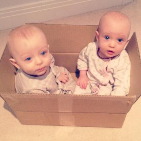 Twins Boxed - 29/365 Twins Boxed - 29/365