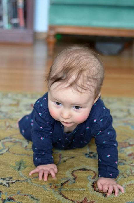 7 months of Lucille Amelia (and 4/52) 7months2