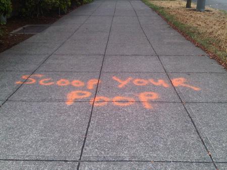 Stop Your Dog from Sidewalk Tempation dog sidewalk