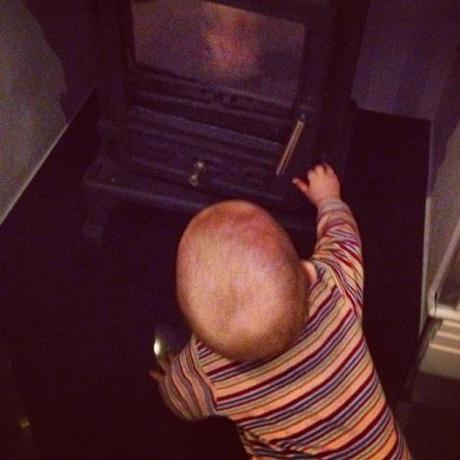 Little Monkey - 34/365 Little Monkey - 34/365