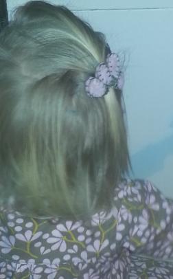 A crown, a cake and 2 clips Hope's hair clip