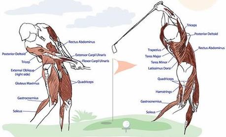 Golf Fitness - Better Body, Better Swing, Better Game!