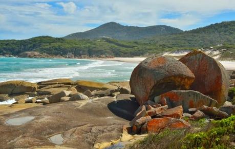 Postcards from the South Postcards from the South