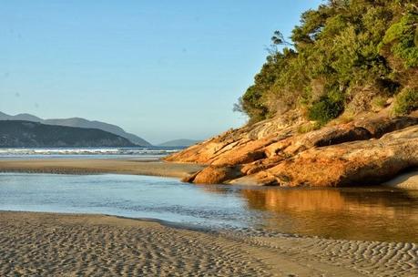 Postcards from the South Postcards from the South