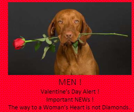 Romantic places for V-day 539902_460770623988714_633210032_n