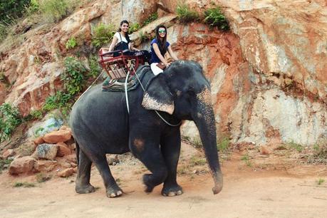 elephant trekking thailand