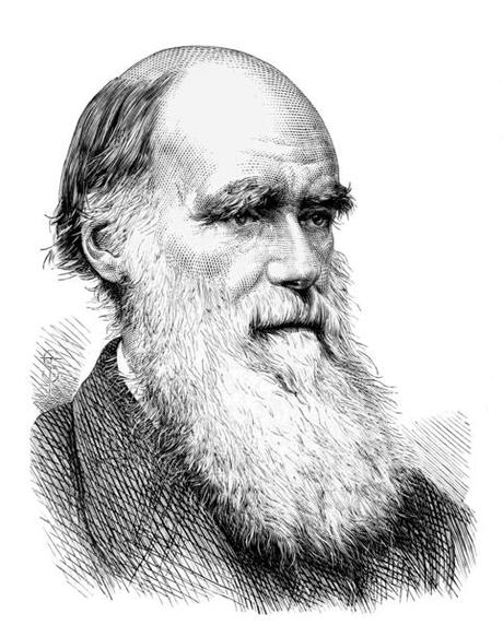 Happy Darwin Day !