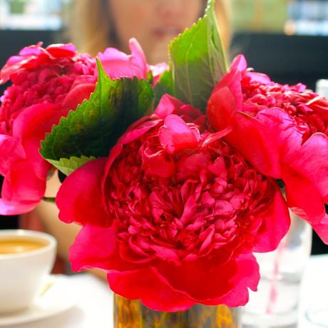 Design Darling Brunch design darling