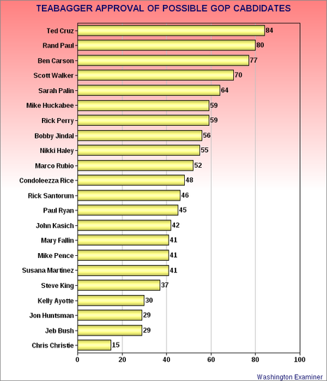 Teabagger Opinions Of Possible 2016 GOP Candidates