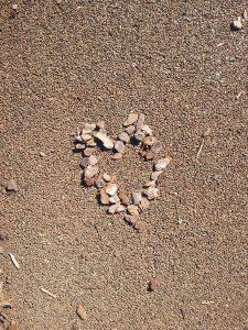 Heart pic found at park