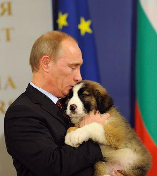 Я люблю прав человека Я люблю прав человека