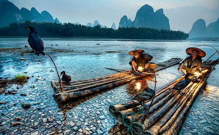 The Ancient Tradition Of Fishing With Cormorants