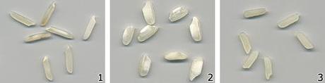 Rice Demystified Rice Demystified