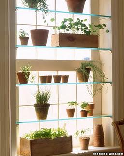 Interior wall garden shelves design by Martha Stewart