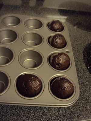 Courtney's Chocolate Cupcakes Courtney's Chocolate Cupcakes