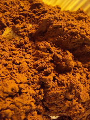 Courtney's Chocolate Cupcakes Courtney's Chocolate Cupcakes