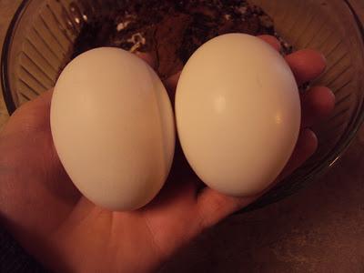 Courtney's Chocolate Cupcakes Courtney's Chocolate Cupcakes