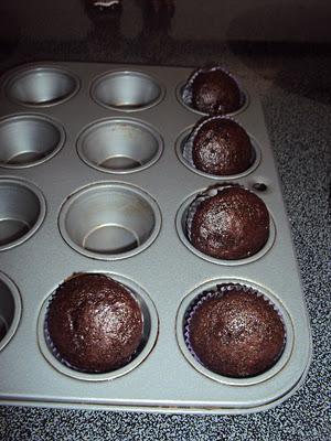 Courtney's Chocolate Cupcakes Courtney's Chocolate Cupcakes