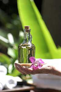 euphoria How to Apply Perfume