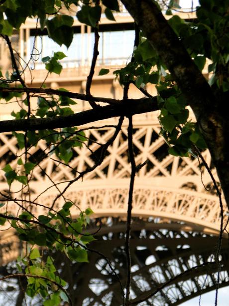 Park view of Eiffel PARIS you are PUUURTY ~ I MISS YOUR MUG ~ but not “MY” FRENCH language skills