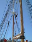 Friends climb the mast of the Southern Swan