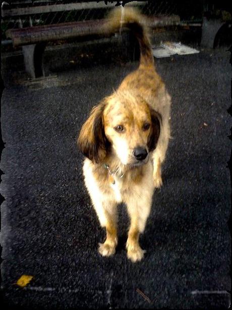 Olden Days Olden Days