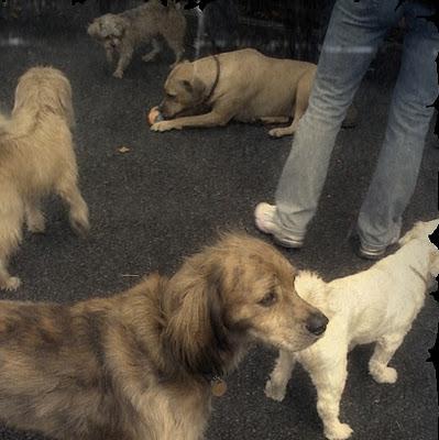 Olden Days Olden Days