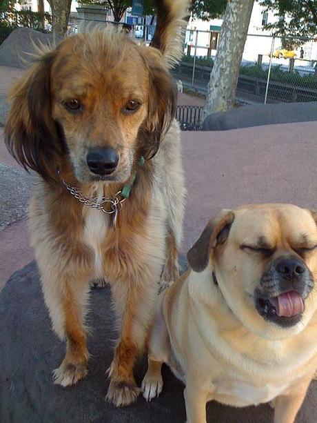 Olden Days Olden Days