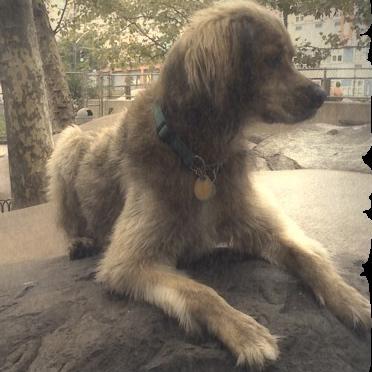 Olden Days Olden Days