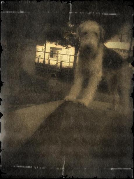 Olden Days Olden Days