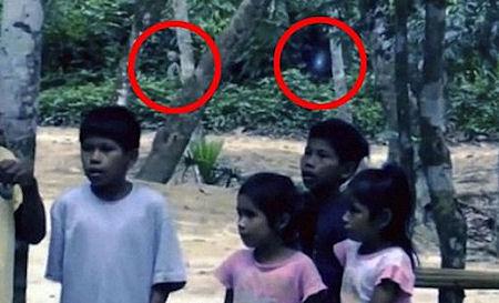'Alien' Captured On Film In The Amazon Rainforest 'Alien' Captured On Film In The Amazon Rainforest