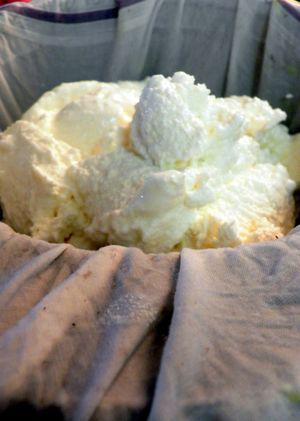 Channar Jilipi - Drain Ricotta