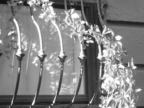 23rd Street 23rd Street
