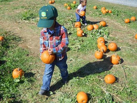 Fall Tradition - The Pumpkin Patch (WW)