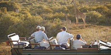 Safari at RiverBend Lodge Four fantastic familymoons