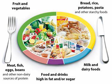 Get healthy: The eat well factor Eatwell20plate2037720sized