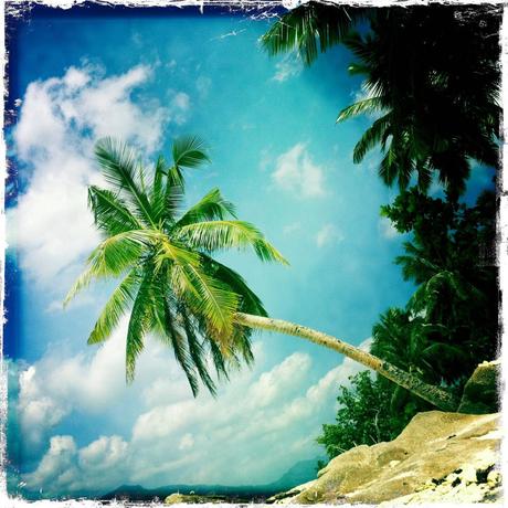 Seychelles DESIGN INSPIRATION IS EVERYWHERE…..