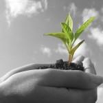 Increase the value of your present business Increase the value of your present business