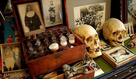 Mummies And Monkey Skulls: The Creepiest Antiques